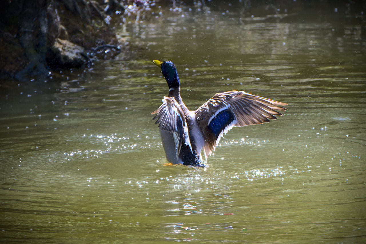 _X303862[NC][2048px].jpg