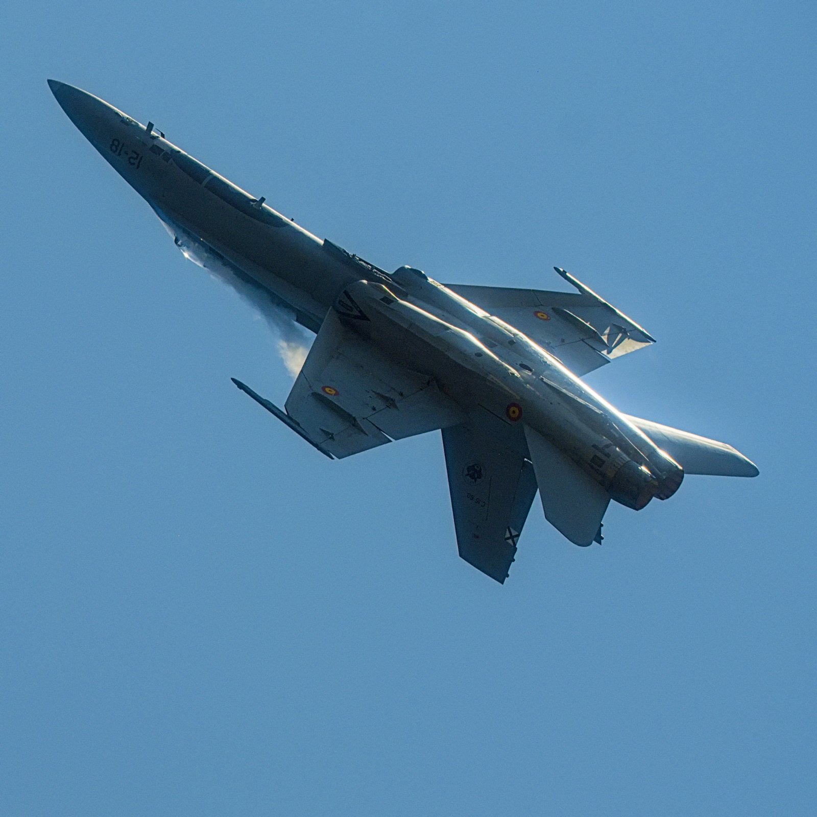 _X304393[PS][2048px].jpg
