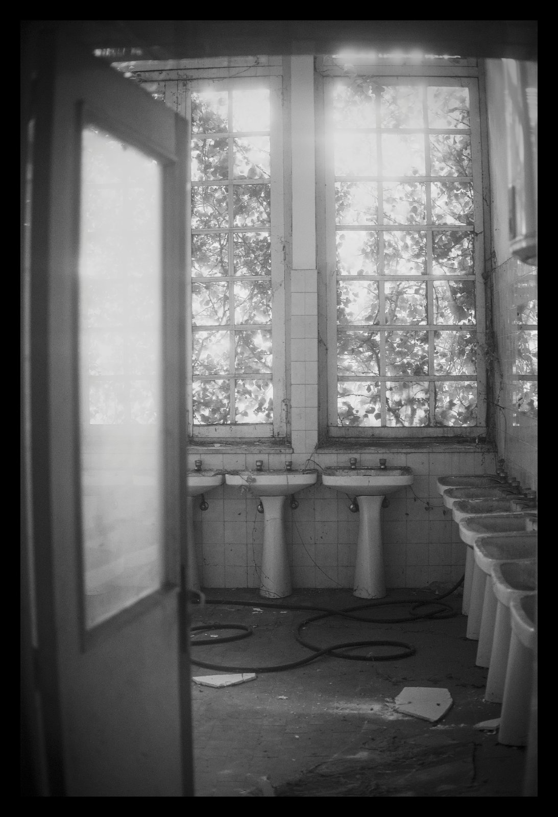 _X308060[DT][2048px].jpg