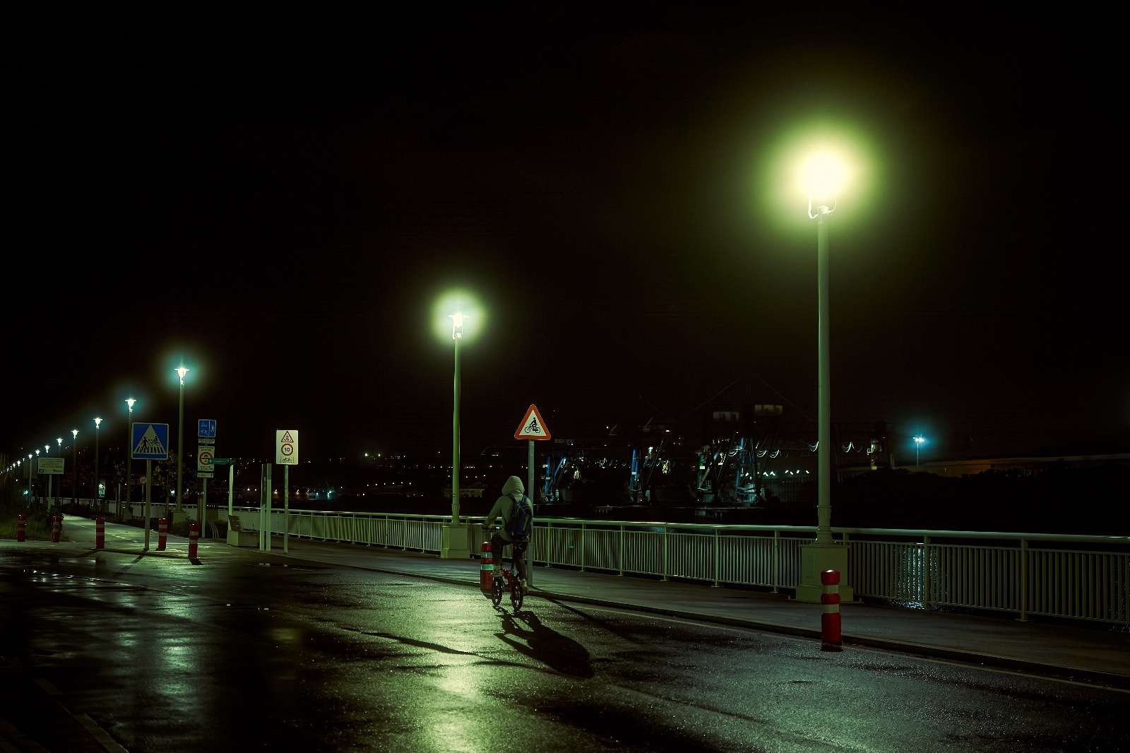 Ciclista nocturno.jpg