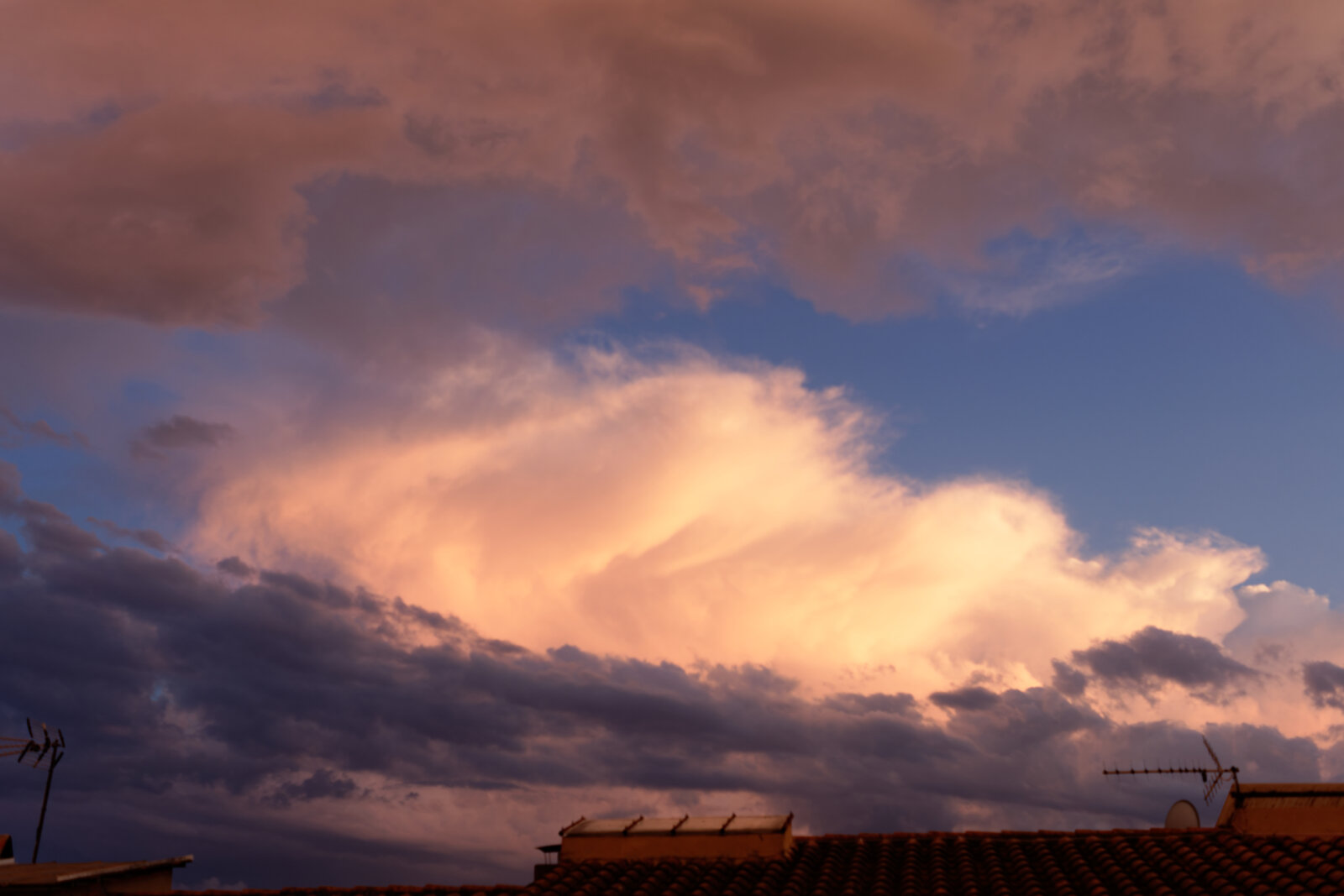 DSCF0040-20250828.jpg