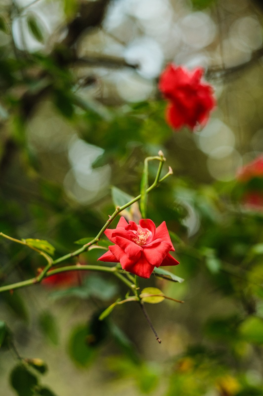 DSCF0419.jpg