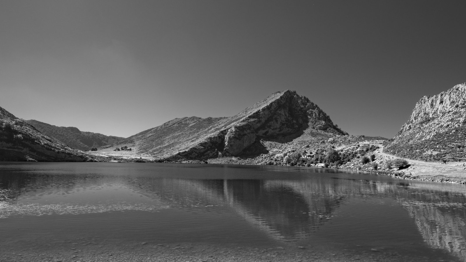 DSCF0745.jpg
