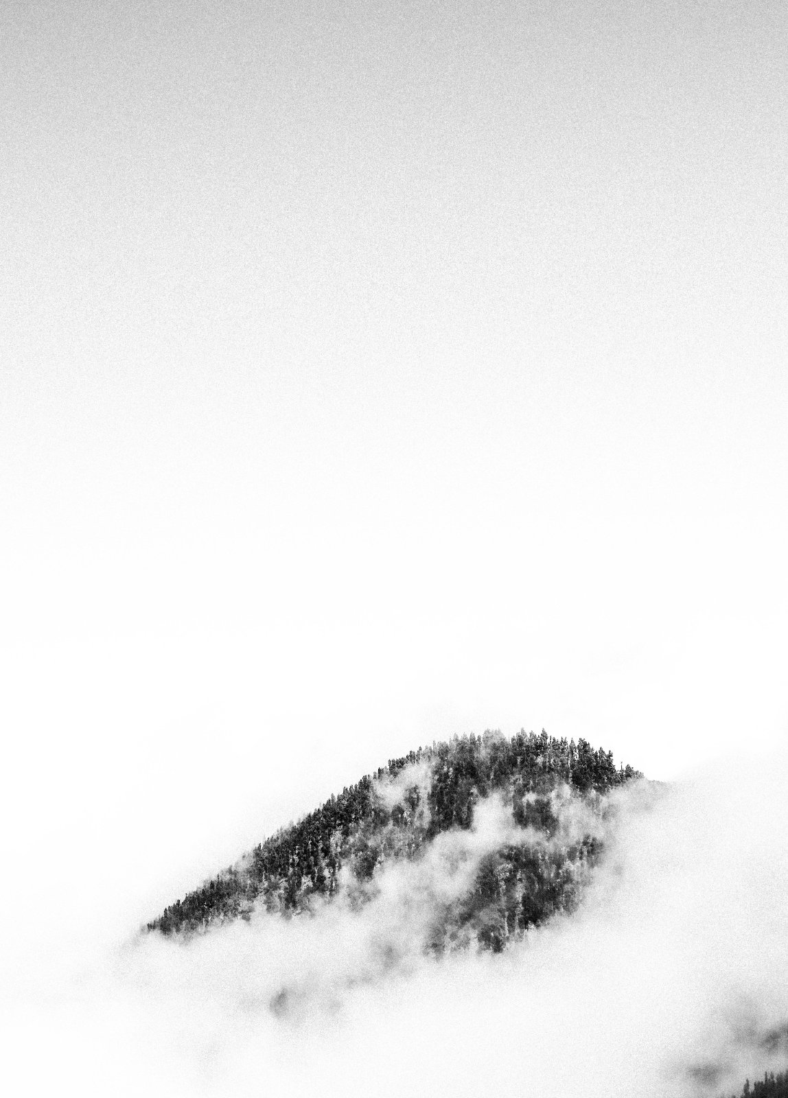DSCF1319.jpg
