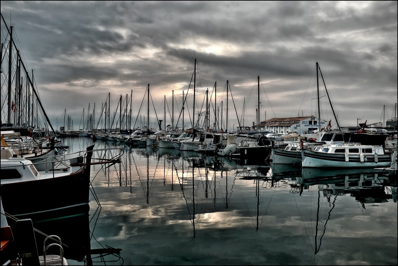 DSCF1519.jpg
