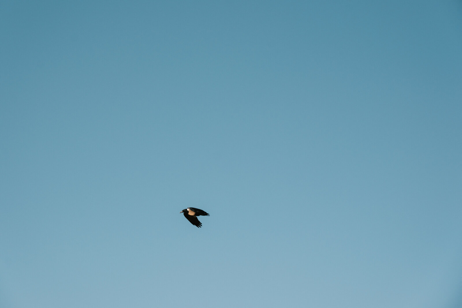 DSCF2745.jpg