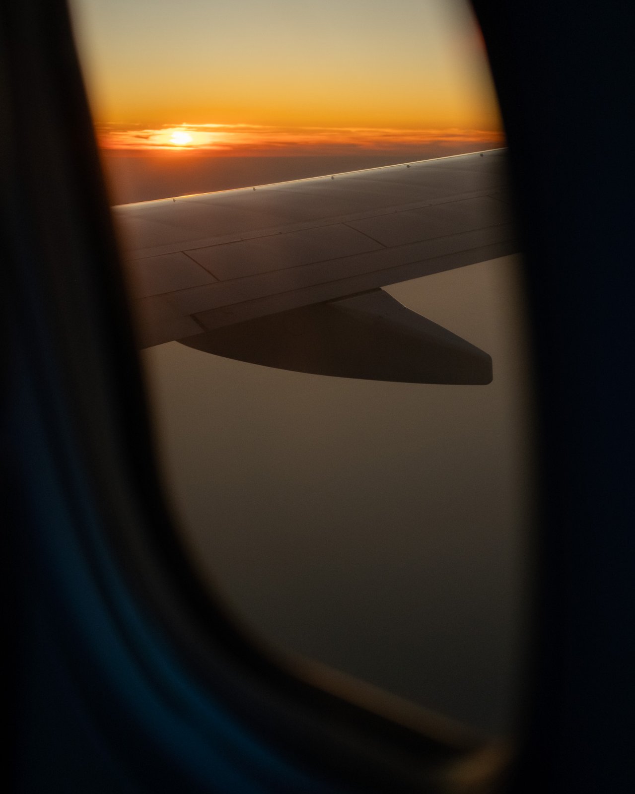 DSCF2987.jpg