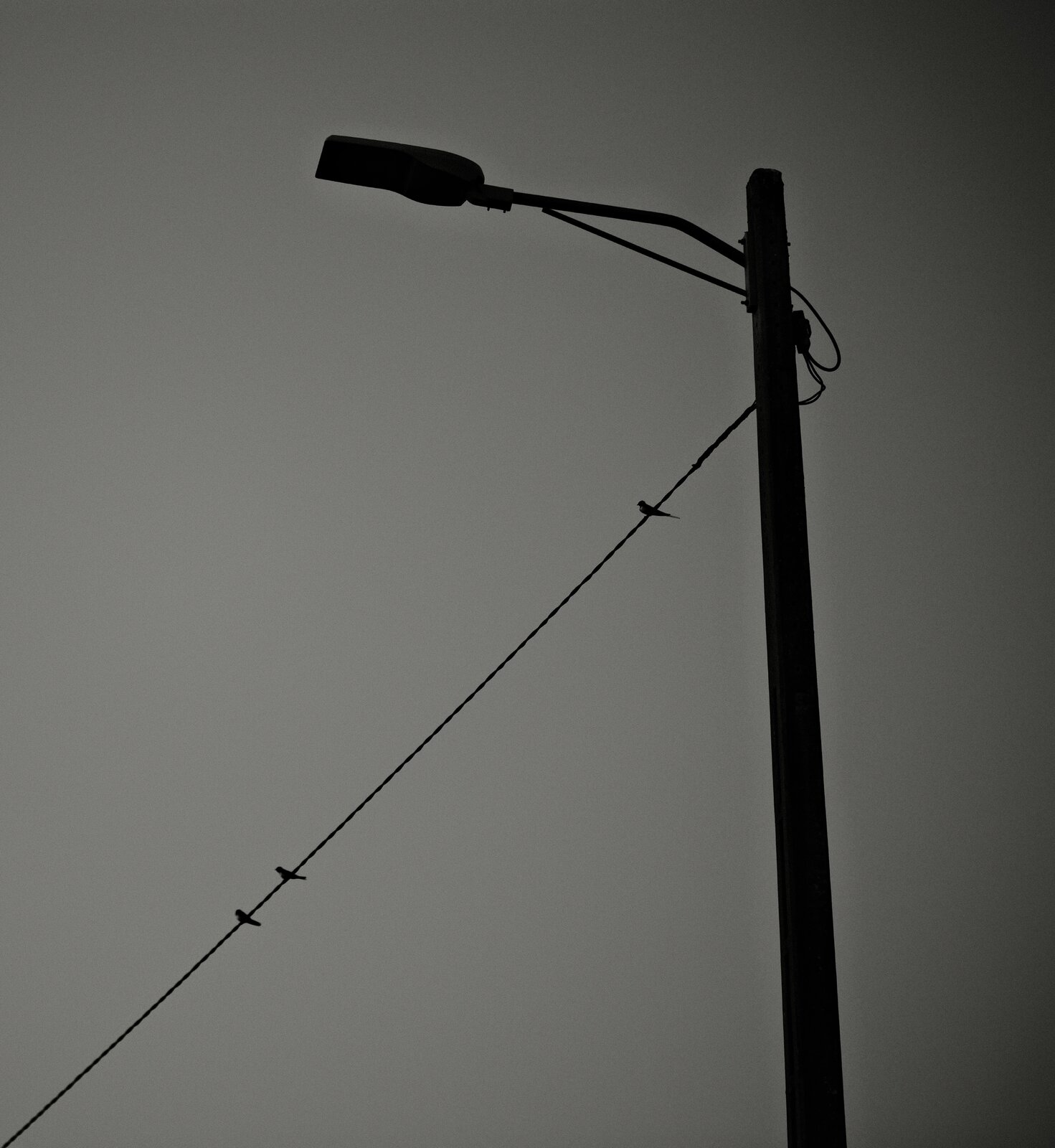 DSCF3050.jpg