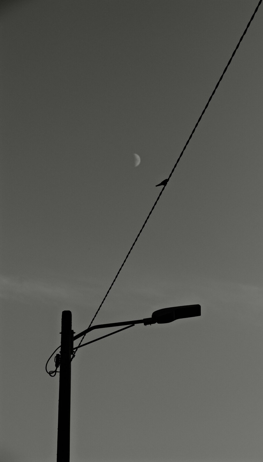 DSCF3054.jpeg