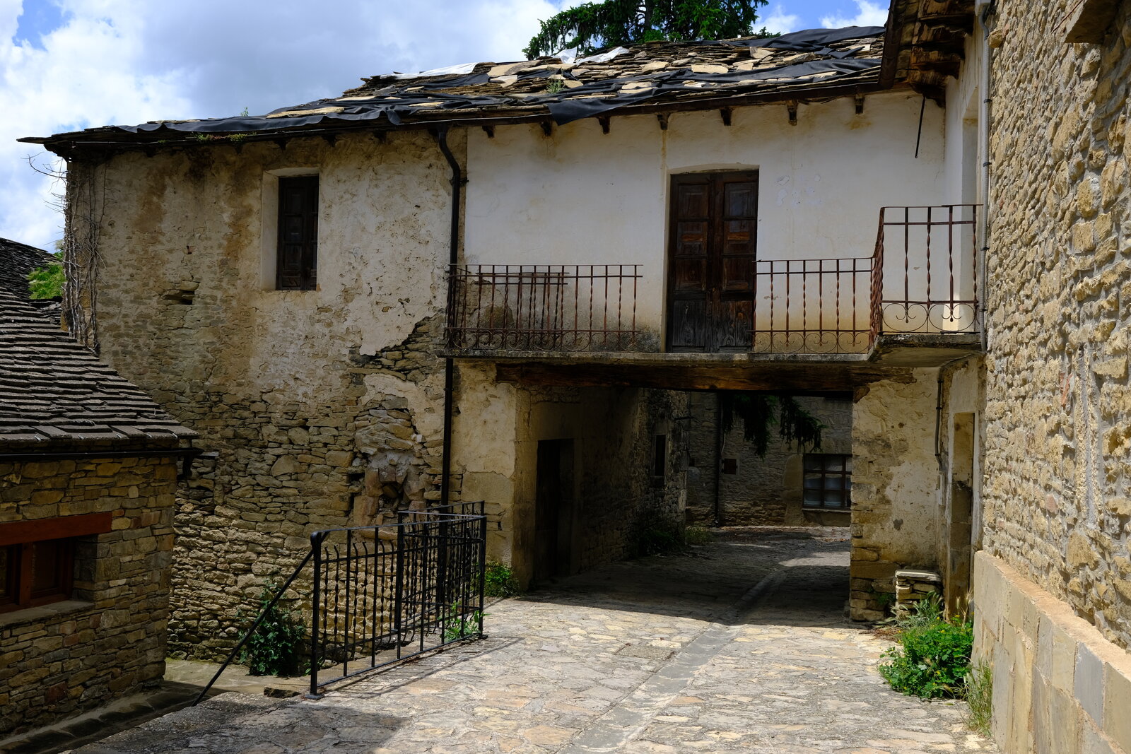 DSCF4890.JPG