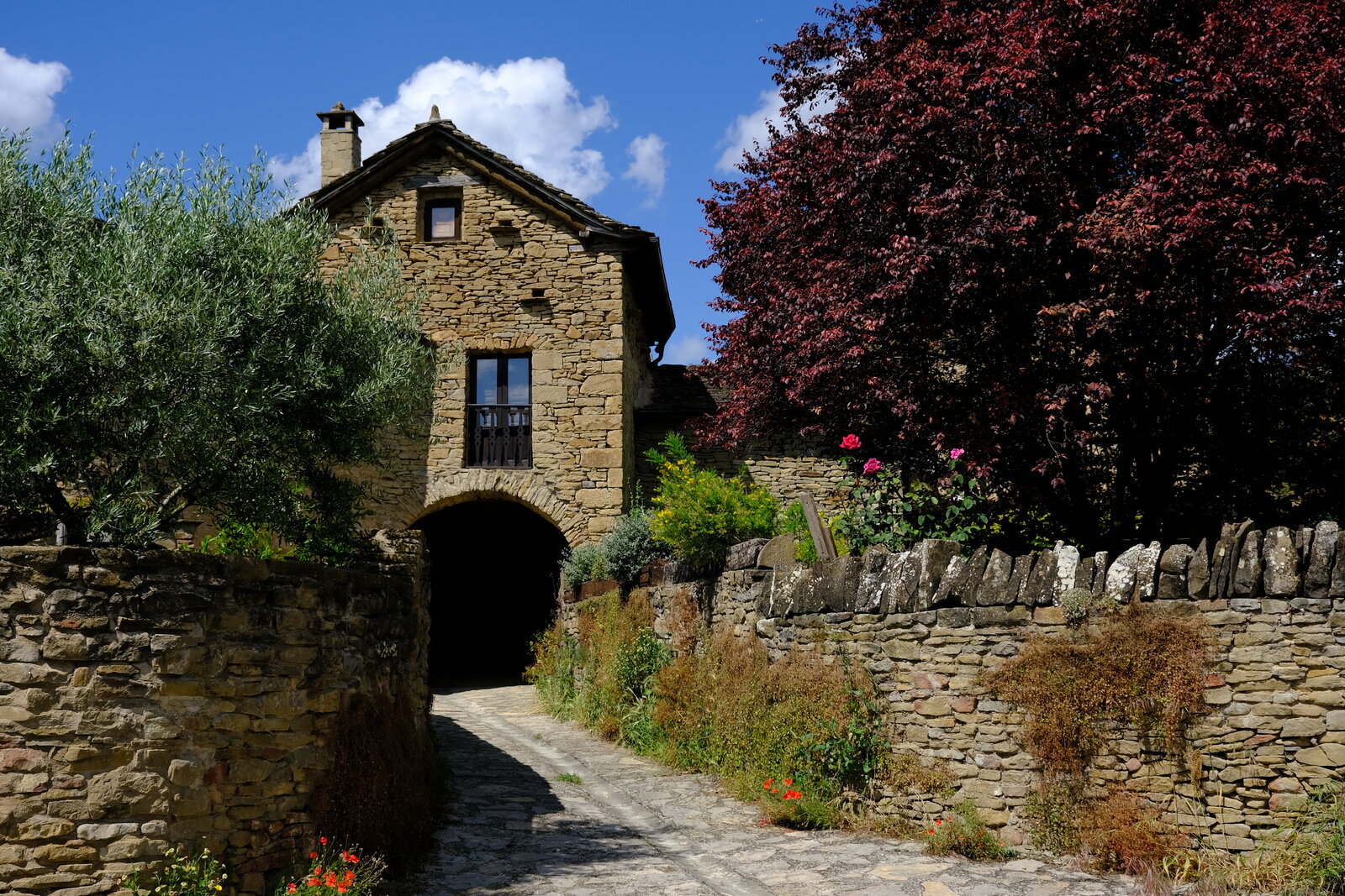 DSCF5050.JPG