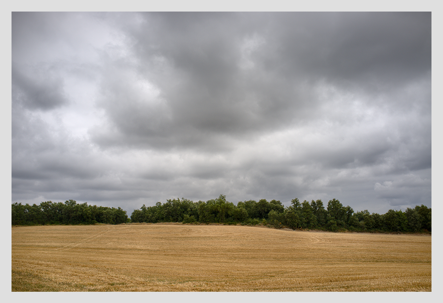 DSCF6161.jpg