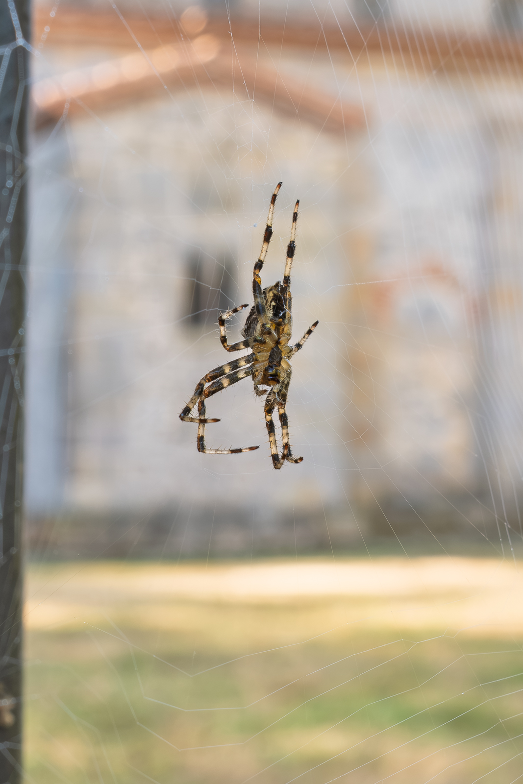 DSCF6509-2.jpg