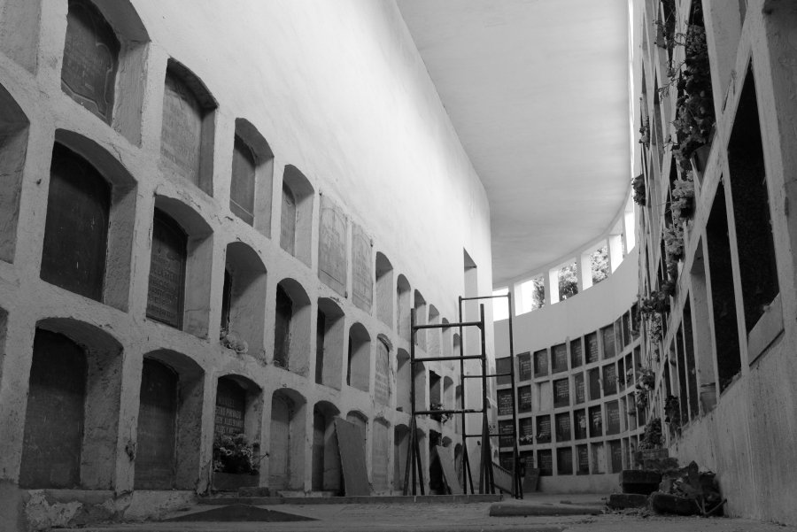 DSCF7390.JPG
