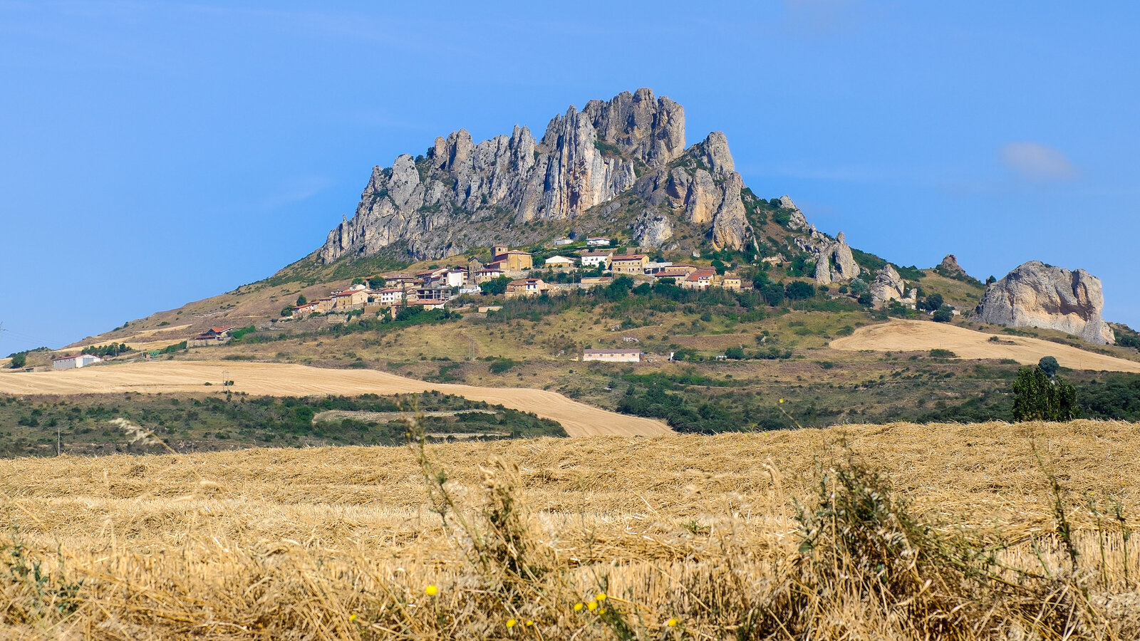 DSCF7923-2.jpg