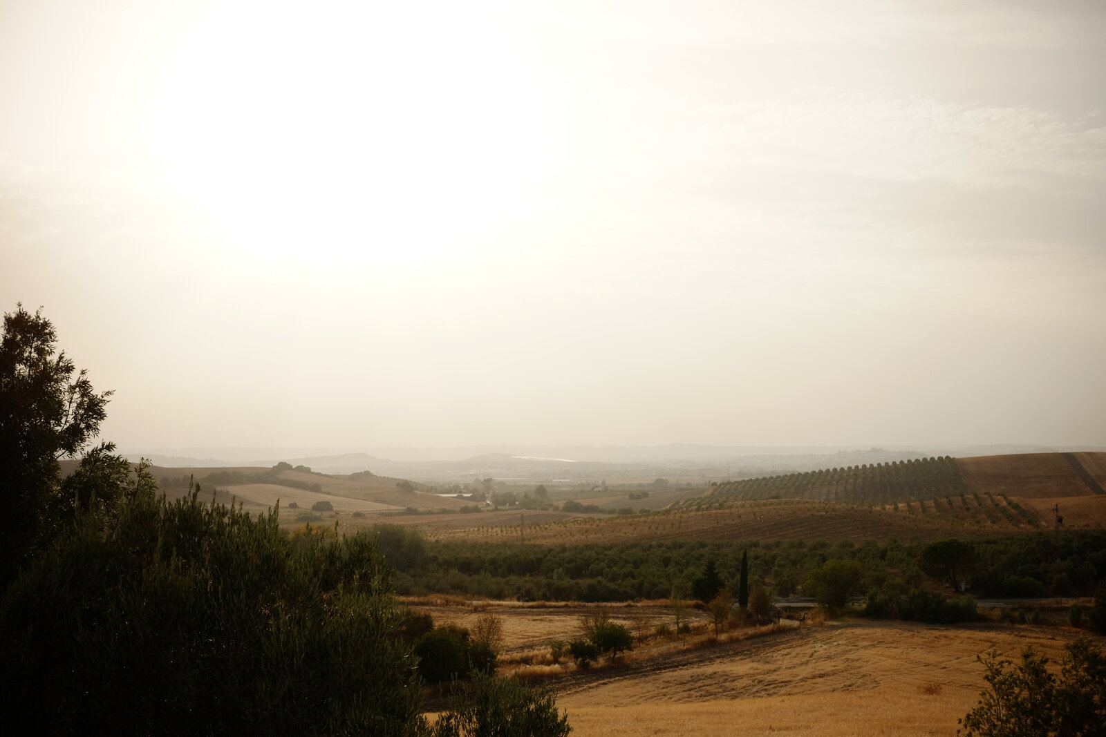 DSCF8012.JPG