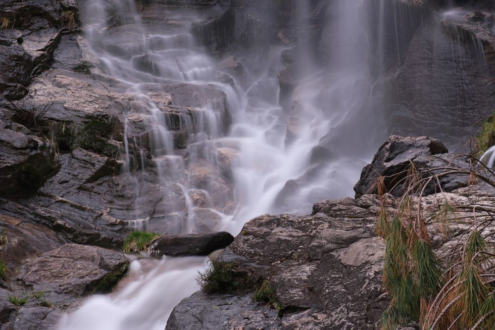 DSCF8440.jpg
