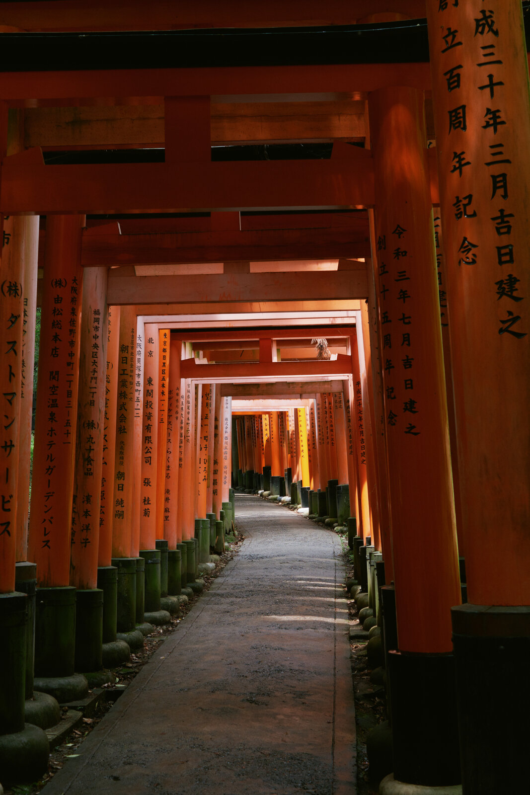 DSCF8454.jpg