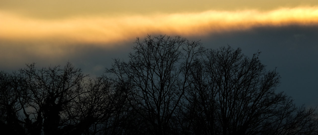 DSCF8489-5.jpg