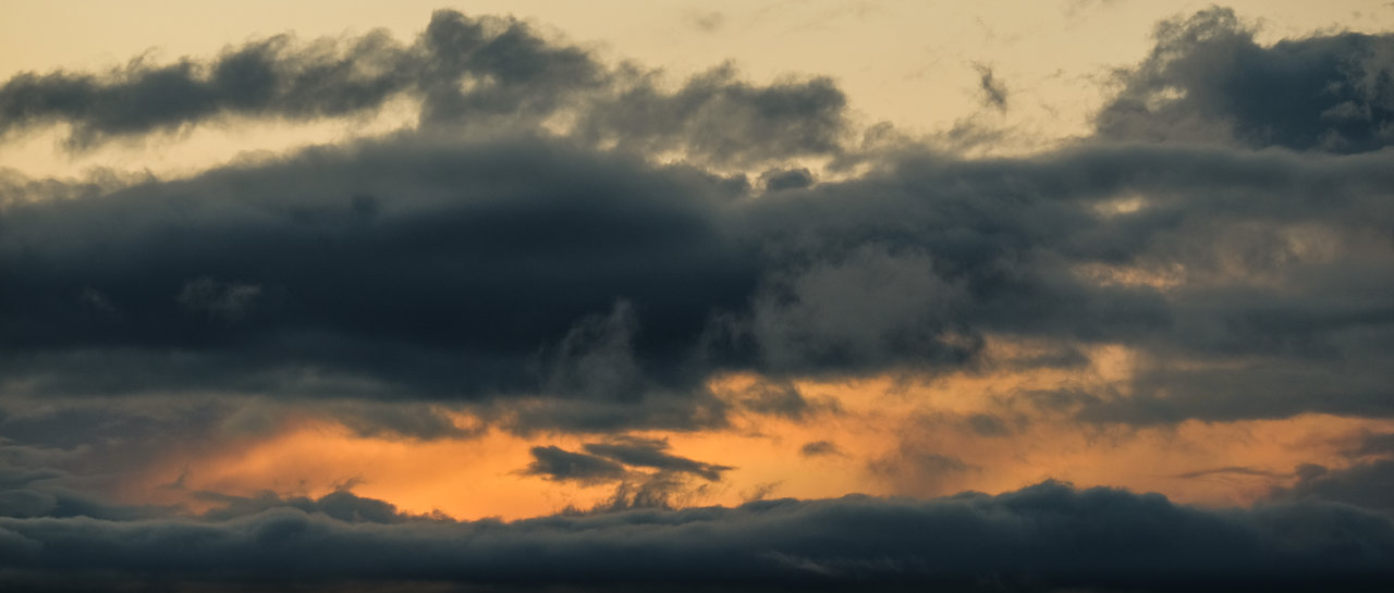 DSCF8564-12.jpg
