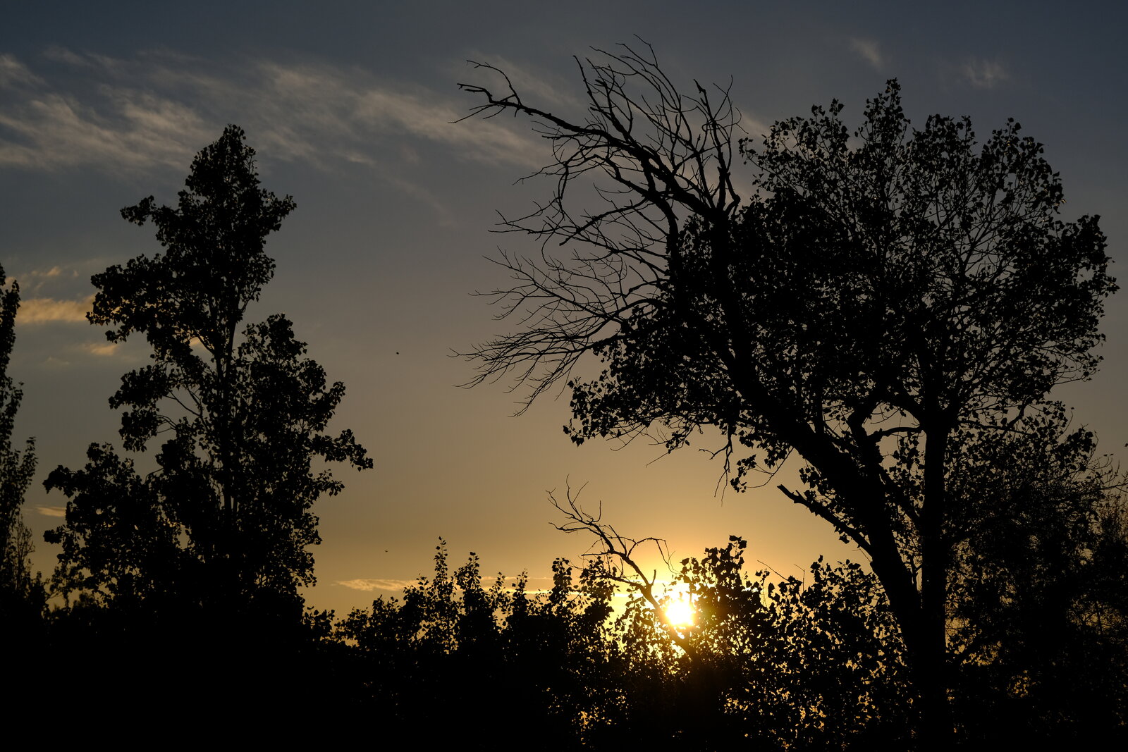 DSCF8911.JPG