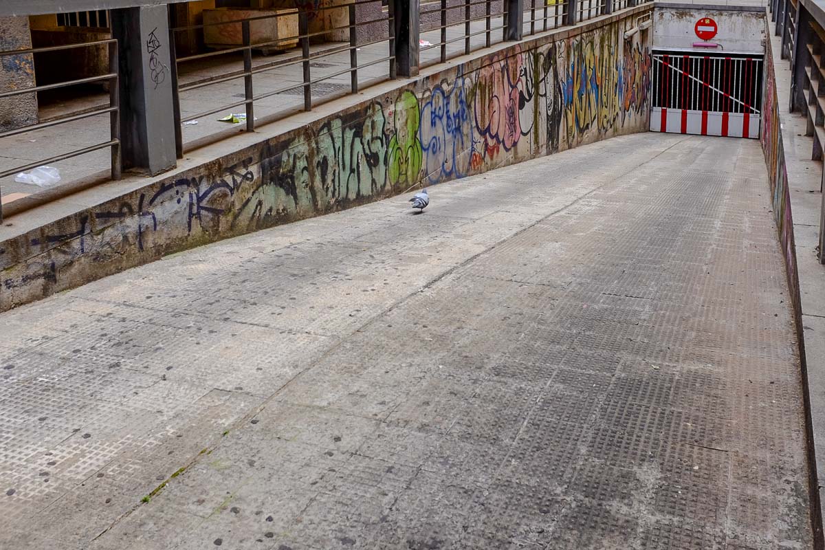 DSCF8931.jpg