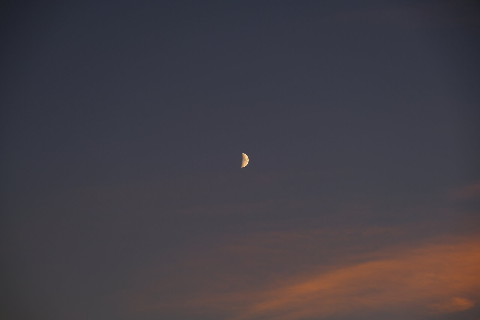 DSCF9002.JPG