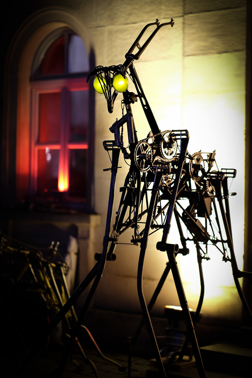 DSCF9665-1.jpg