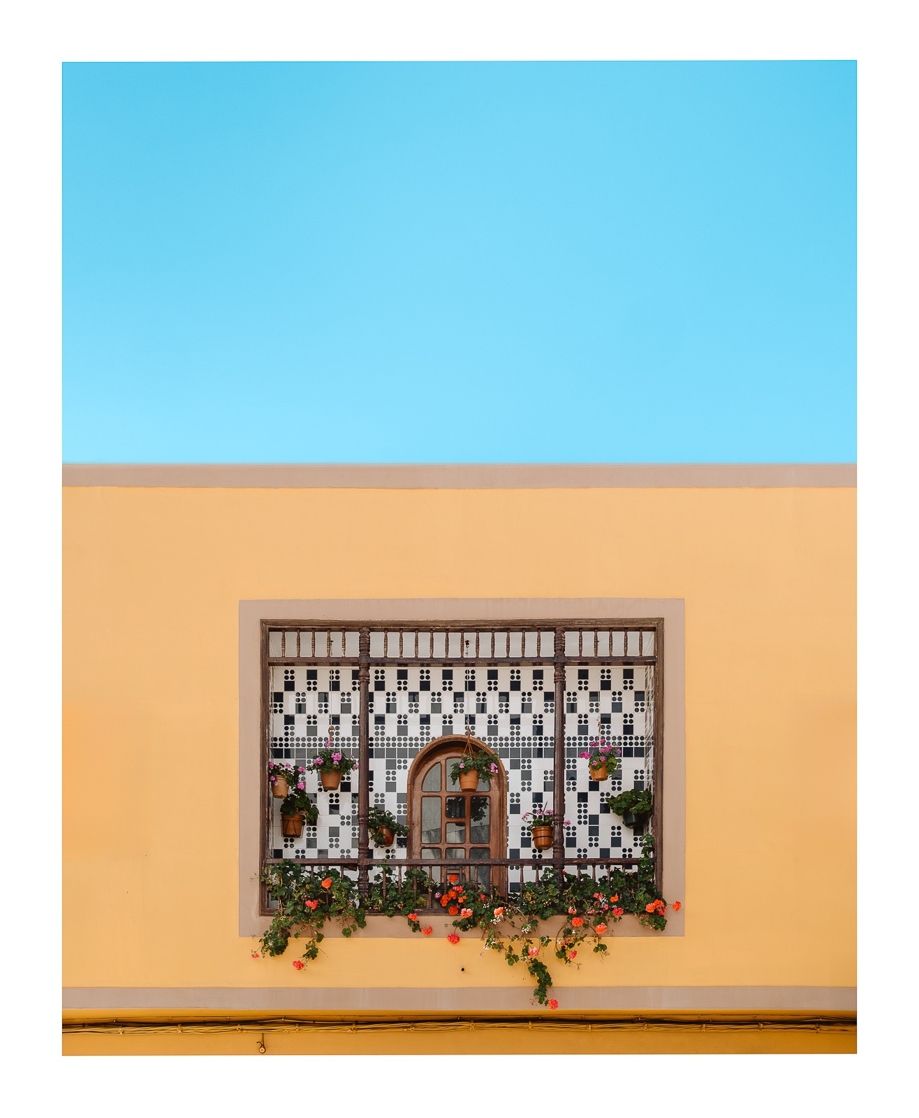 fotografo-balcon-puerta-madera-maceta-flores-fachada-cielo-azul-cables.jpg
