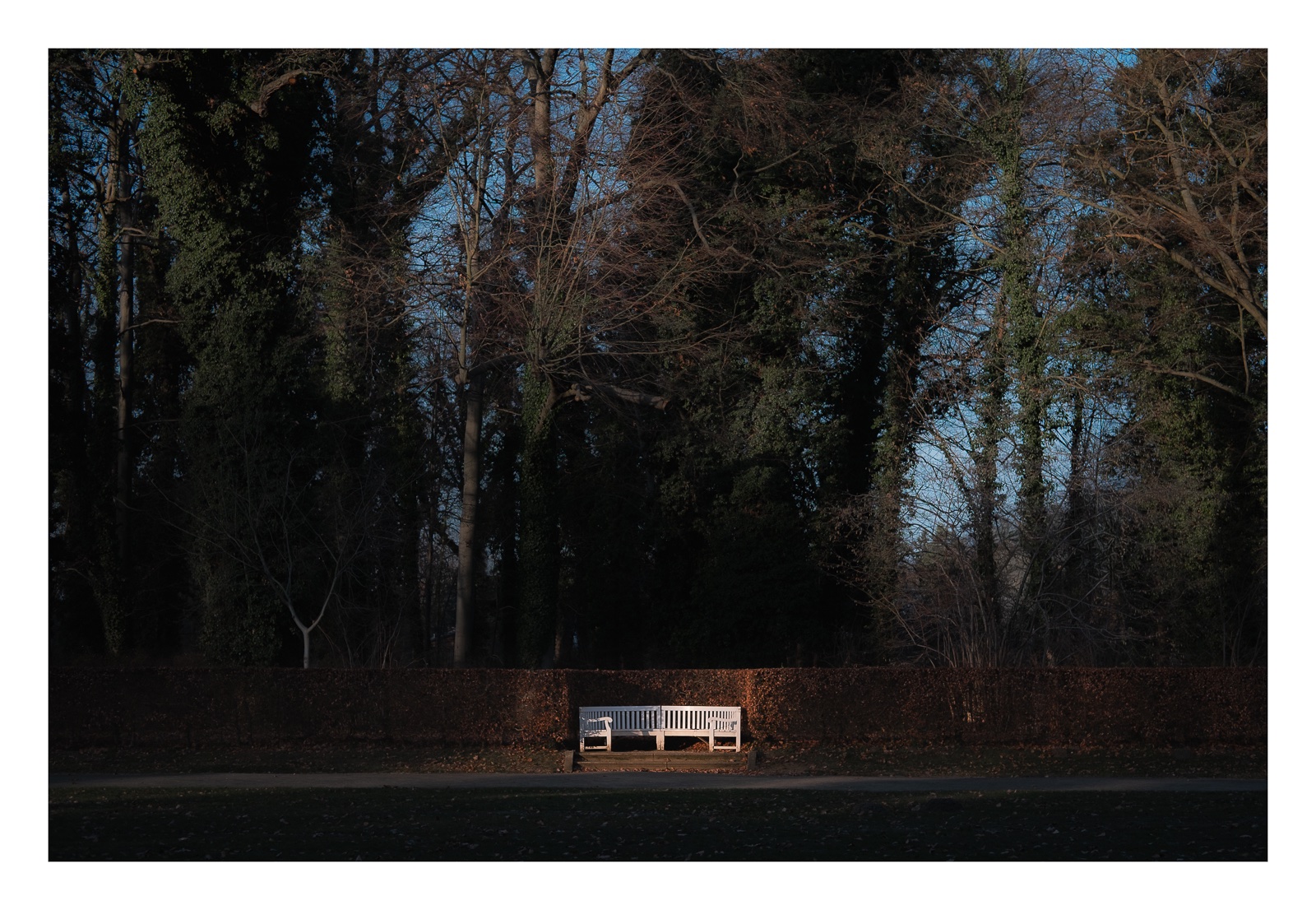 fotografo-berlin-alemania-park-sanssouci-banco-madera-blanco-arboleda.jpg