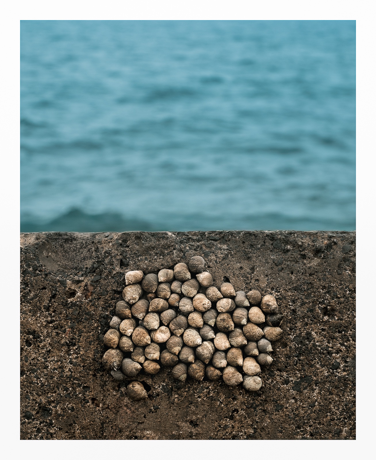 fotografo-mar-azul-rompeolas-piedra-molusco.jpg