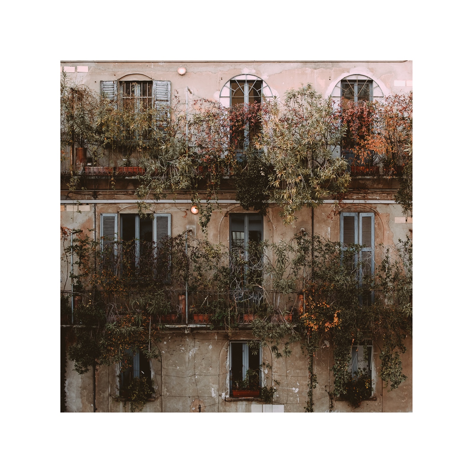 fotografo-milan-fachada-balcon-plantas-vegetacion-.jpg