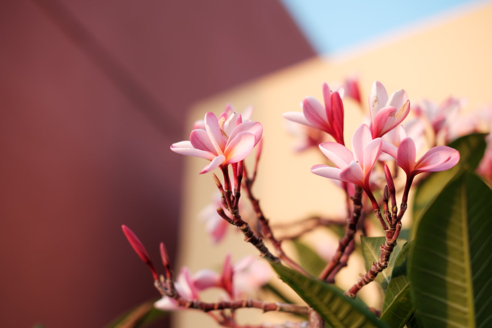 Fujinon 35mm 14 202509-2.jpg