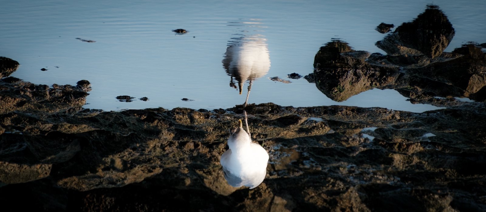 Fujinon 70-300mm 202509-10.jpg