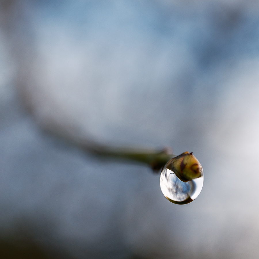 Gota con XF 30mm F2.8
