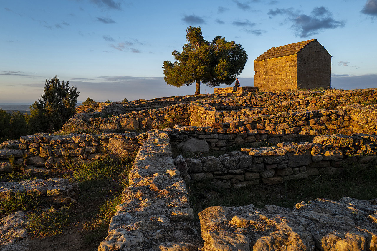 L1000214.jpg