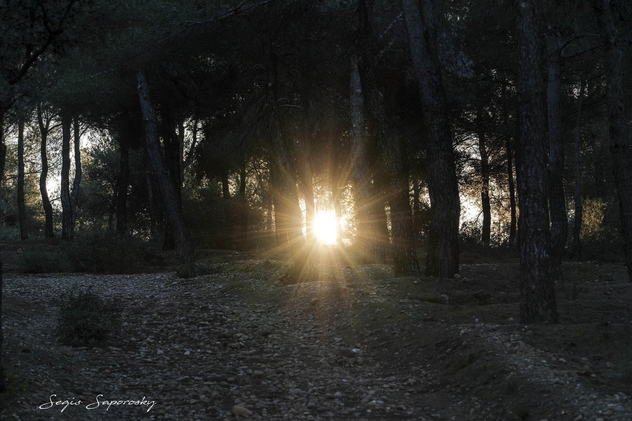 LA LUZ.jpg