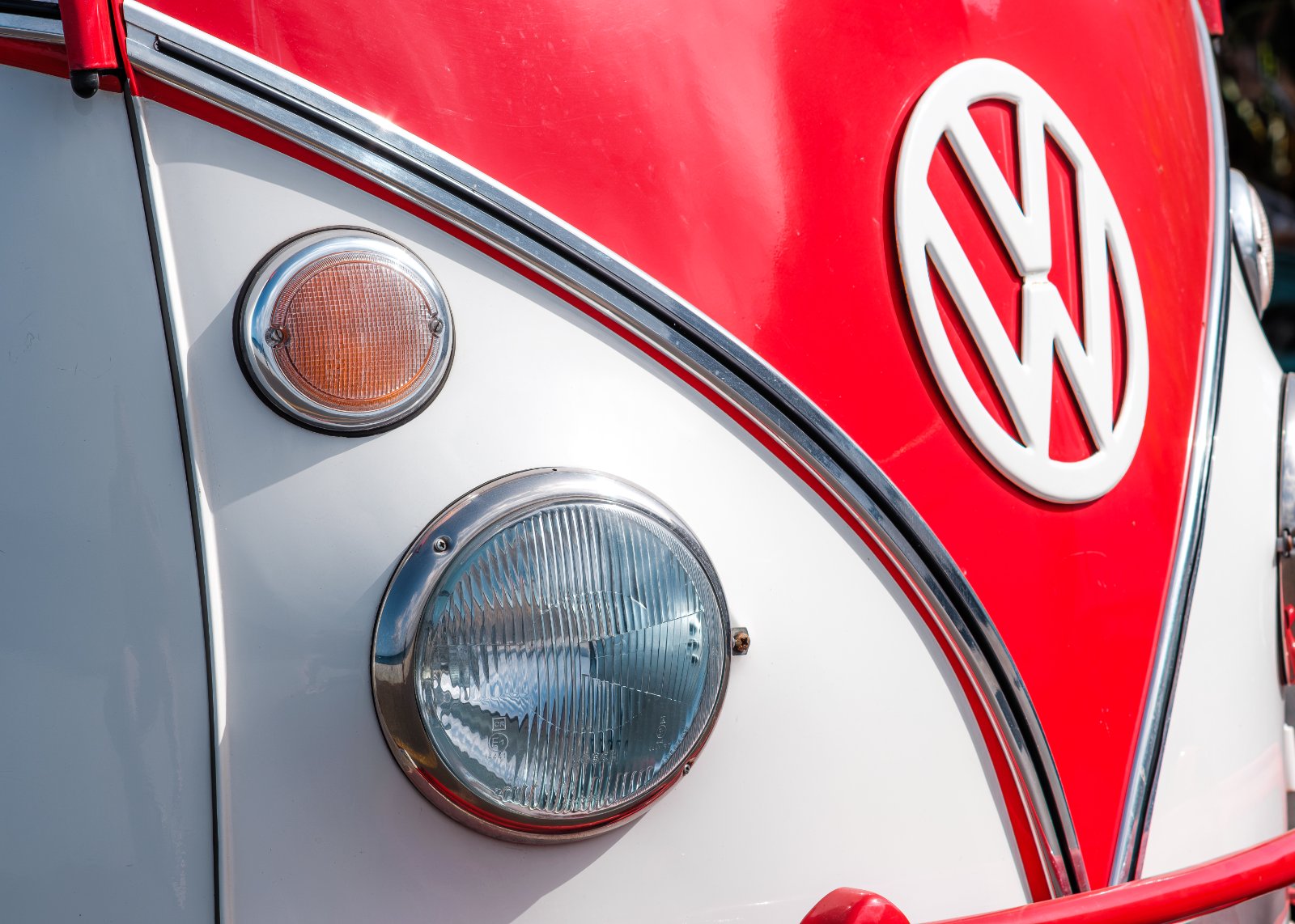 Olympus 100_28 202509-6.jpg