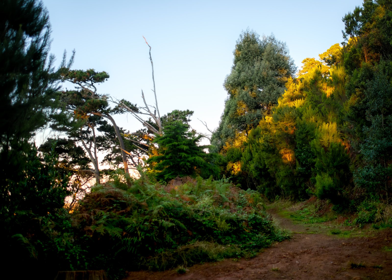 Olympus OM 85mm f2 - 102025-13.jpg