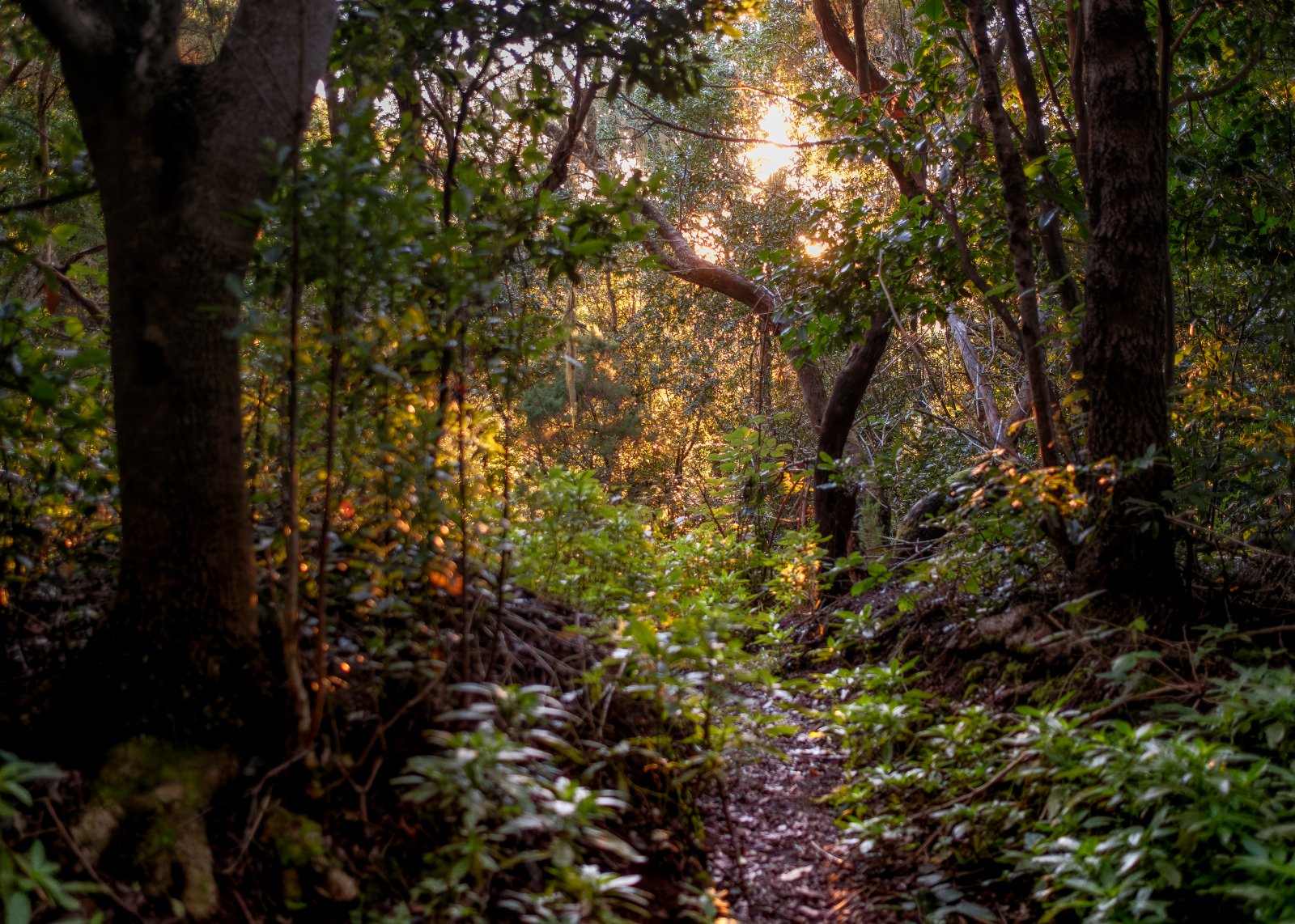 Olympus OM 85mm f2 - 102025-15.jpg