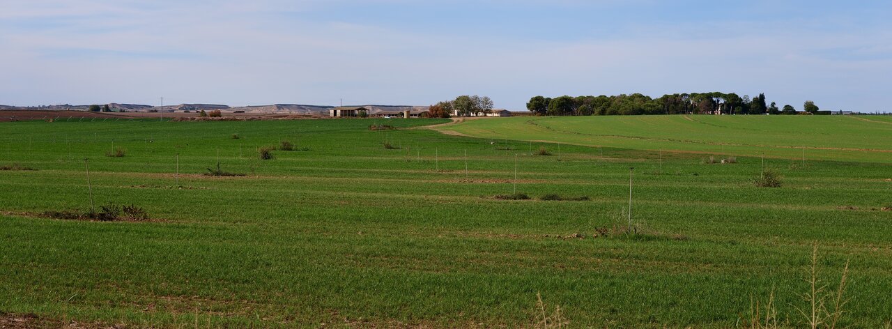 P1014327.JPG