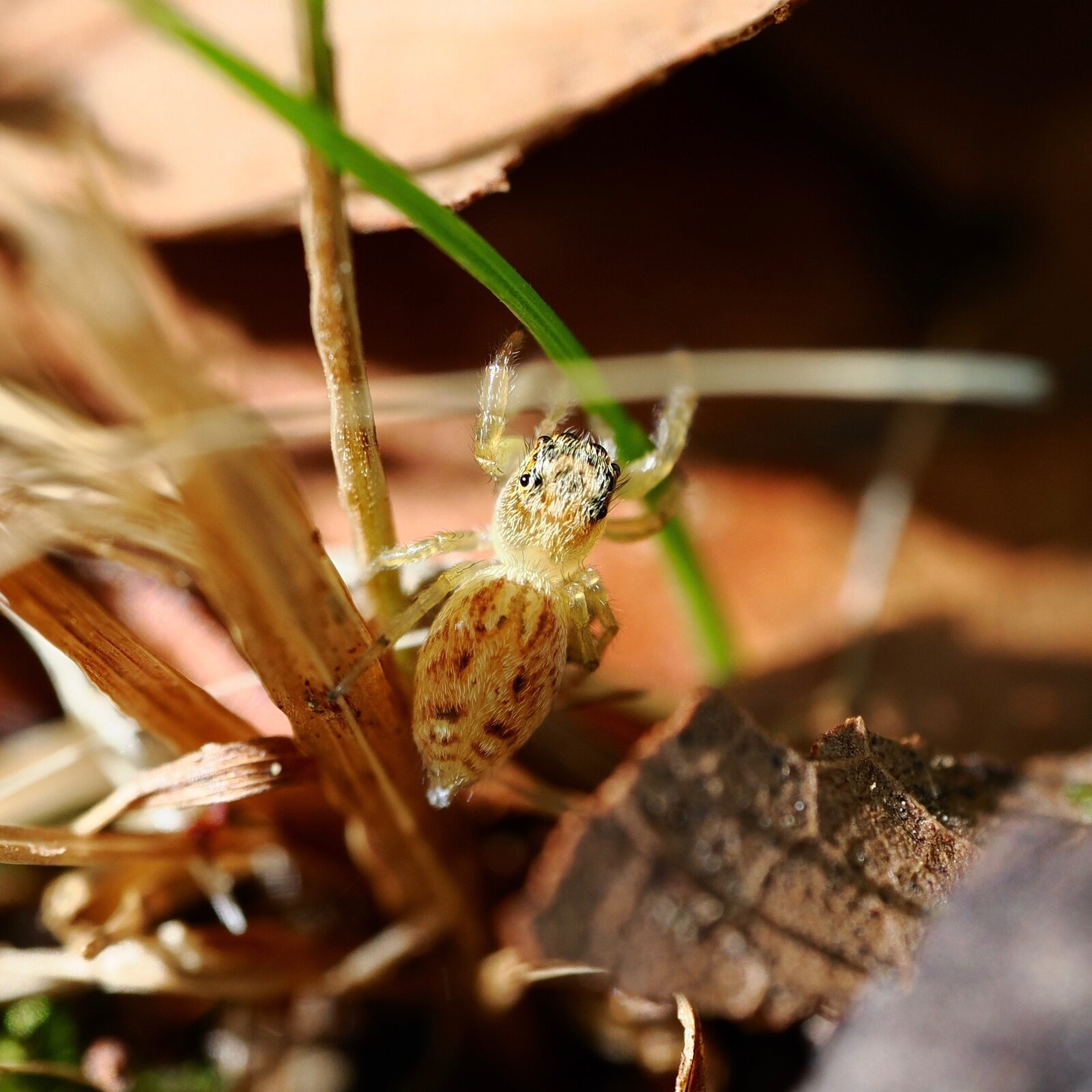 P9160001.jpg