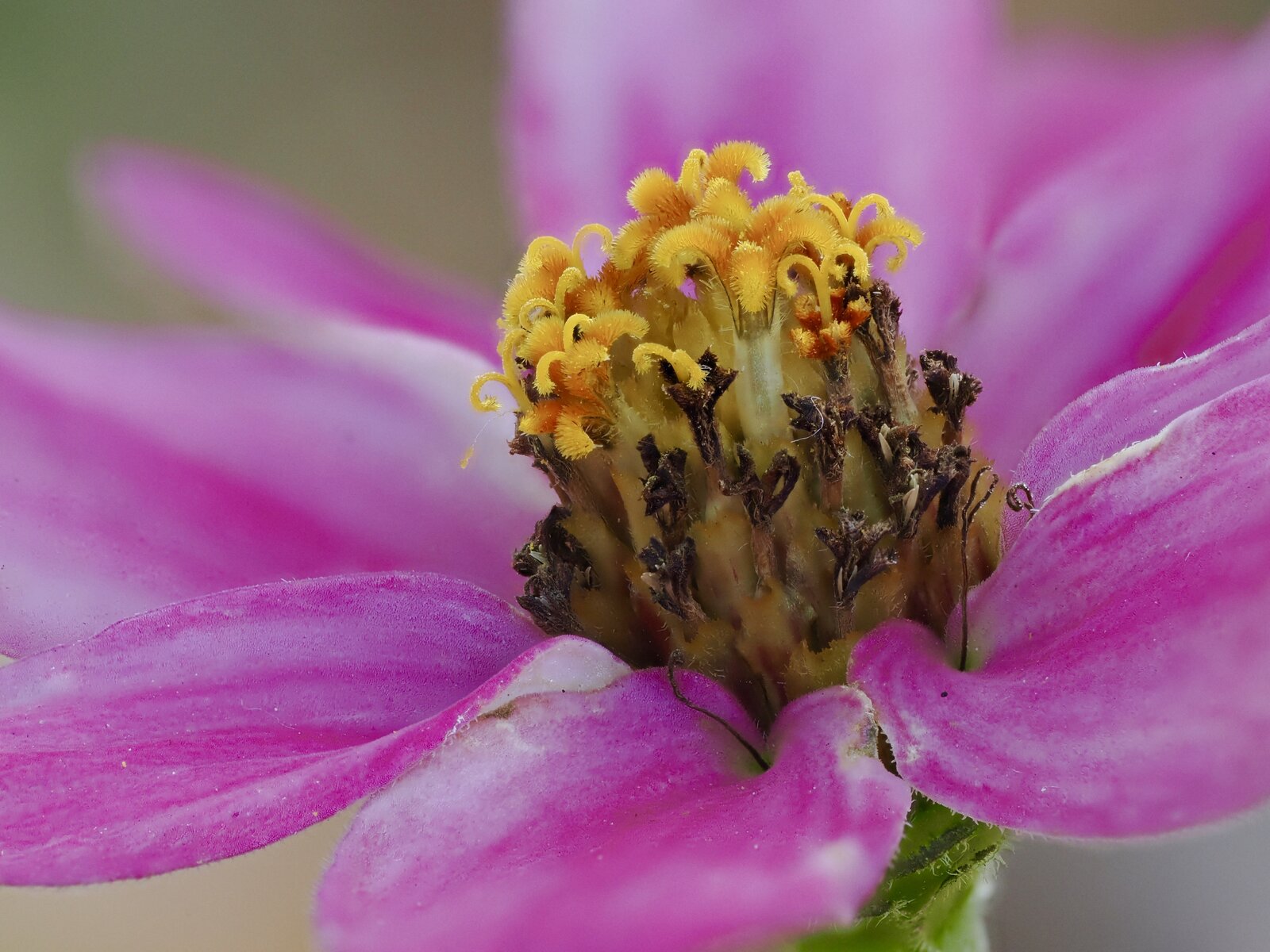 P9240640.jpg