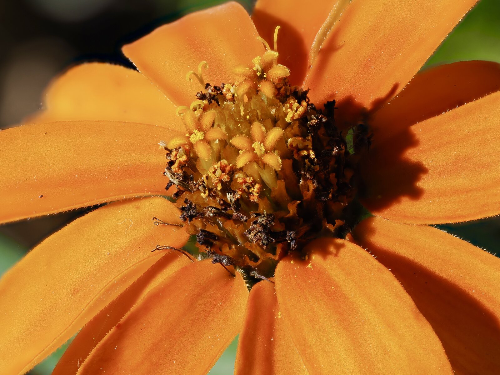 P9240656.jpg