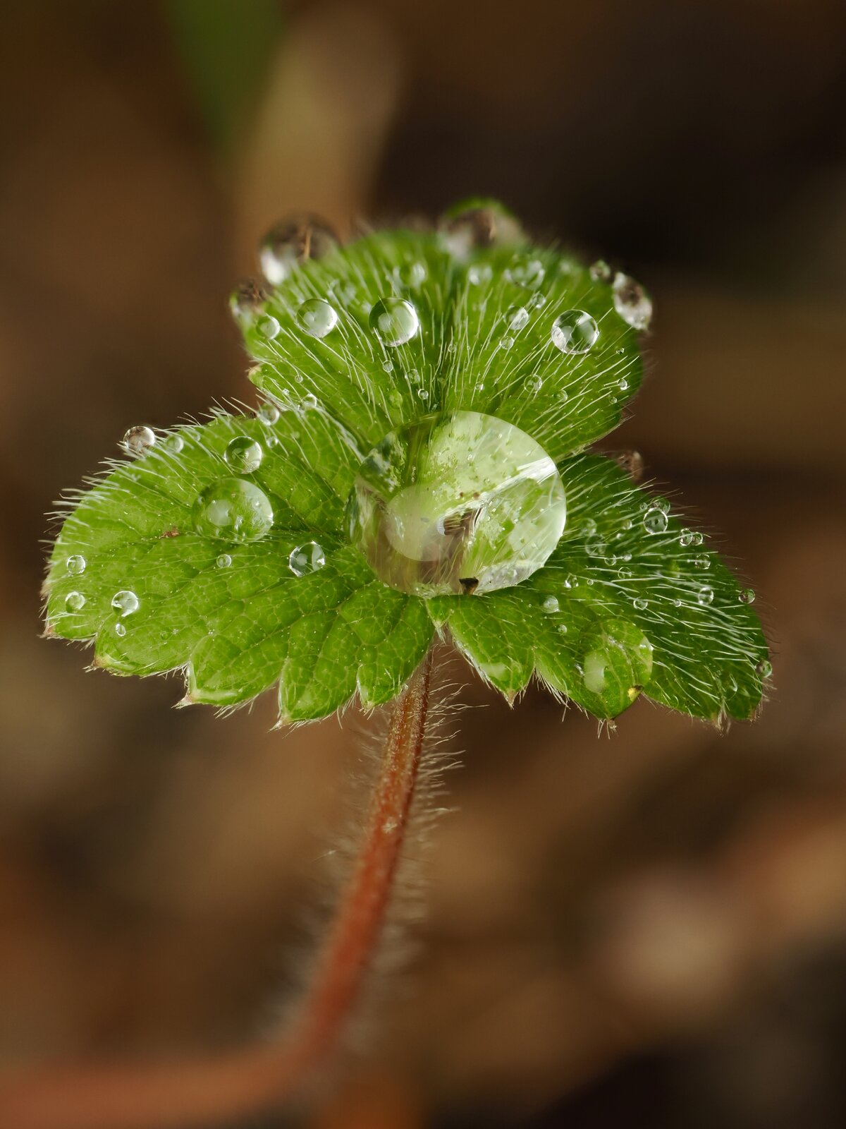 PA011127.jpg