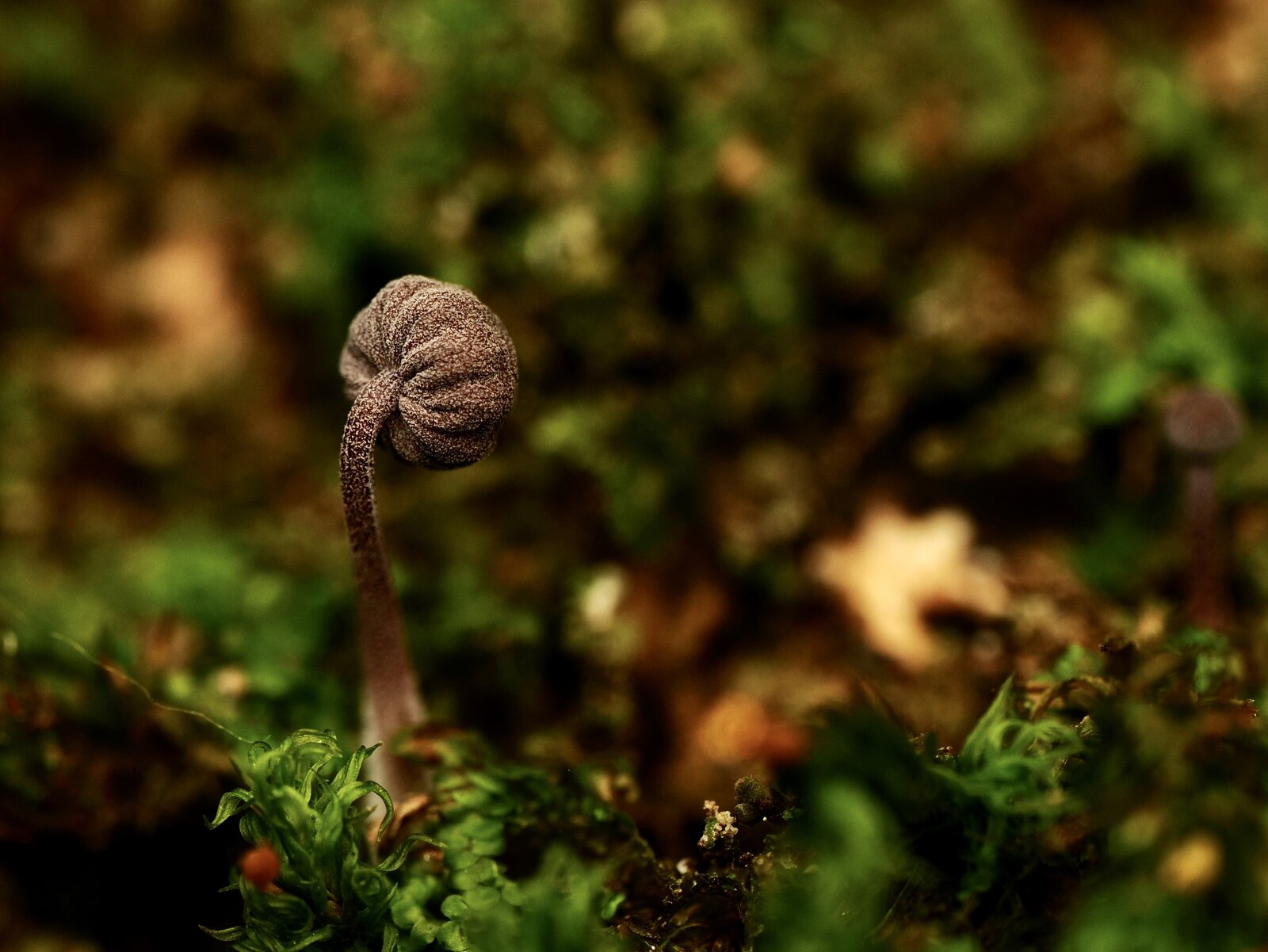 PA020370.jpg