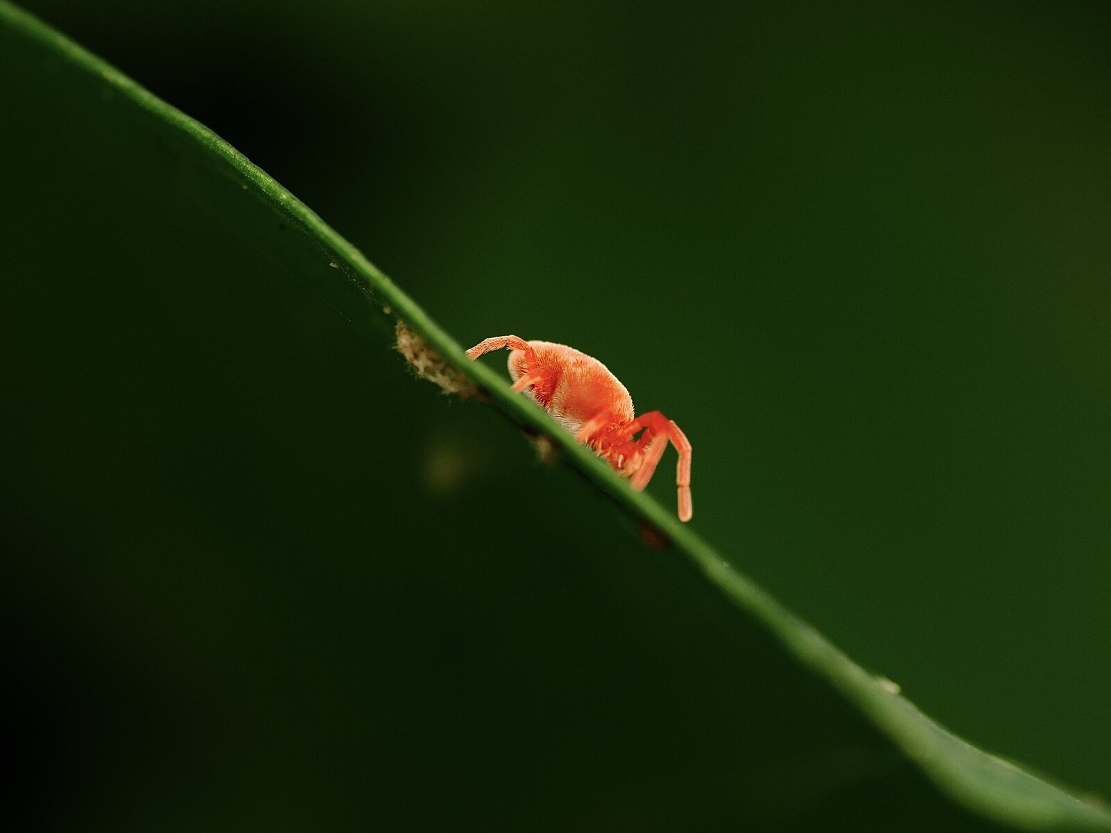 PA030874.jpg