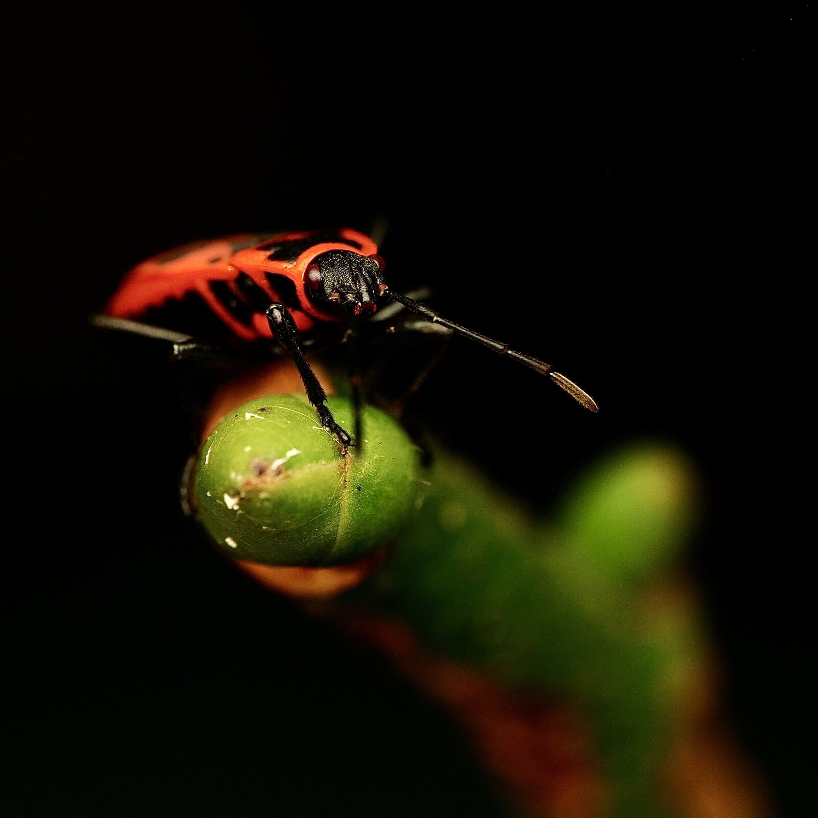 PA030900.jpg