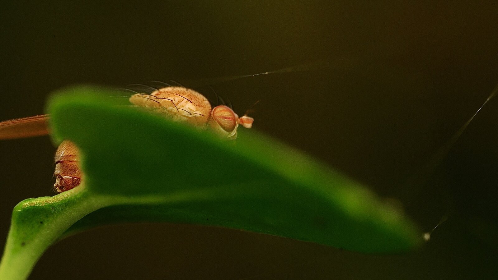 PA030957.jpg