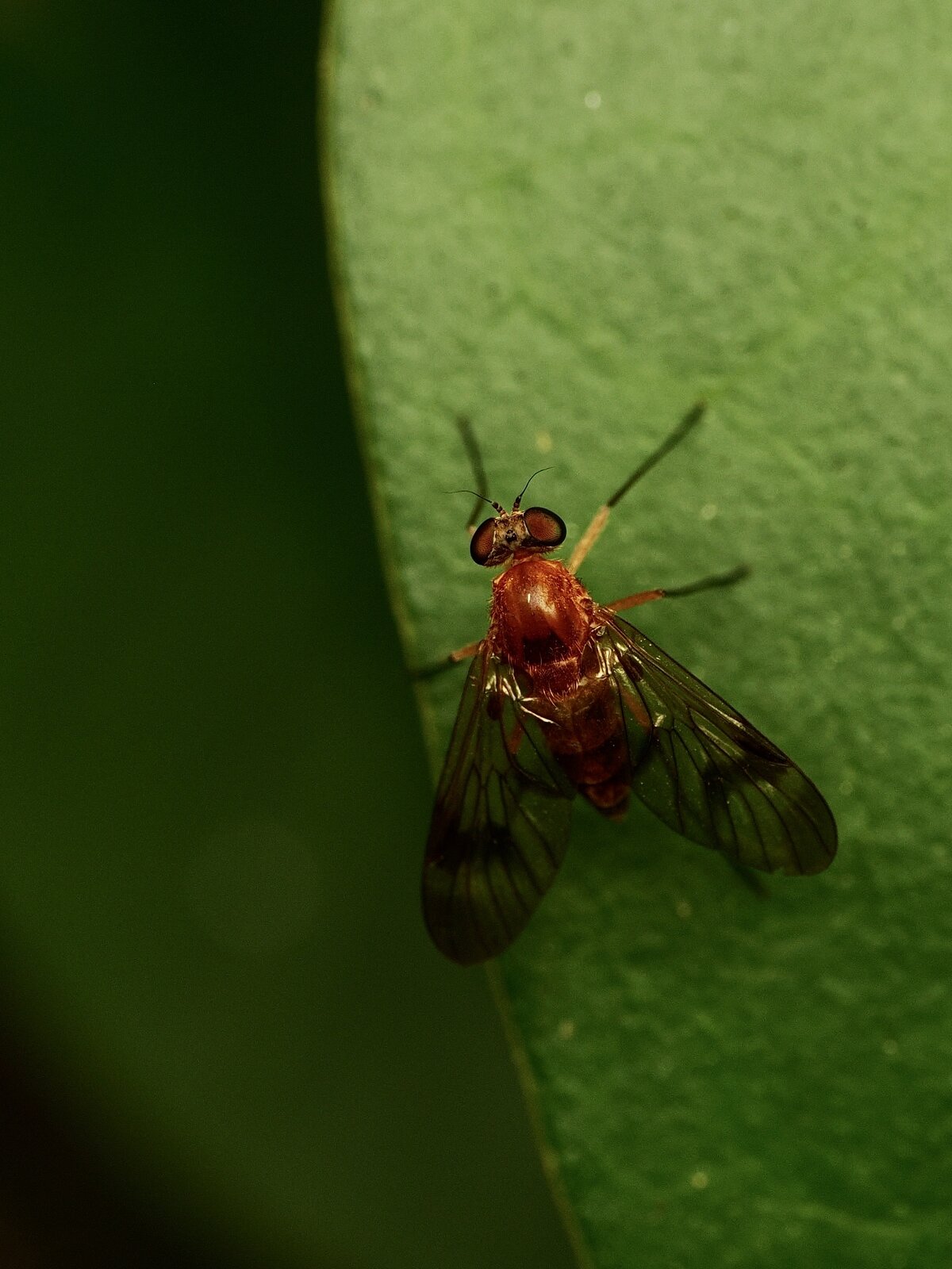 PA031250.jpg